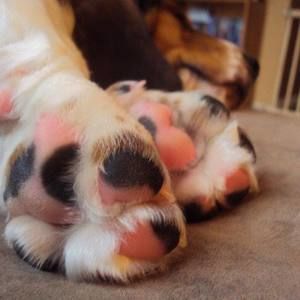 Meet your Posher, Maryjane